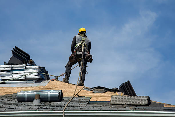 Professional Gutter Installation technician working in Orlinda, TN